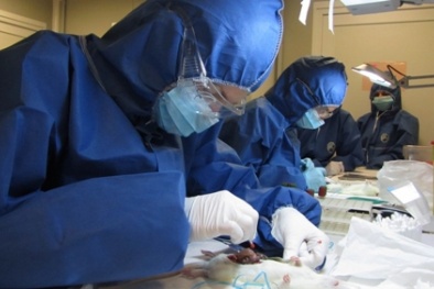 Nhà khoa học được thay đổi dự toán đề tài